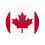 flag_can